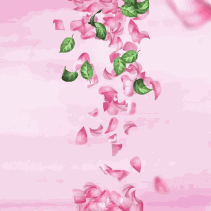 蝴蝶玫瑰花动态壁纸图片